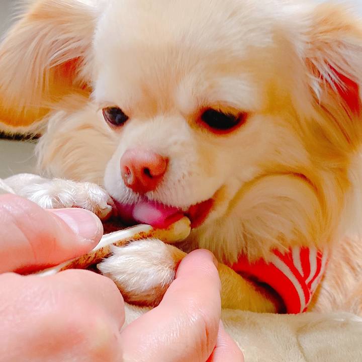 F5b4d3d6 f12c 4396 8775 899d7a9c9dc9 1646392104491