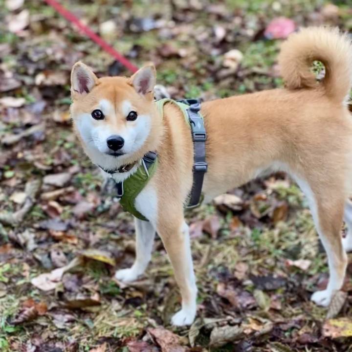 F5b4f4d7 b1b8 47db a0e6 77ac27128838 1667611317093