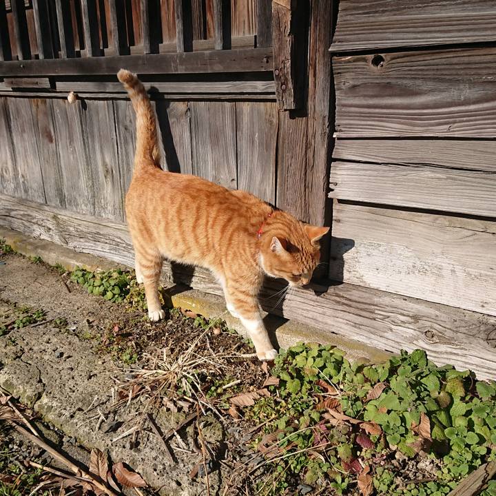 F5b51404 7103 41e9 9cf7 7312b49e0a98 1576908548436