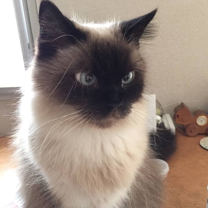 F5b524df 0bda 474f 9540 6bb7e564c971 1627942000346