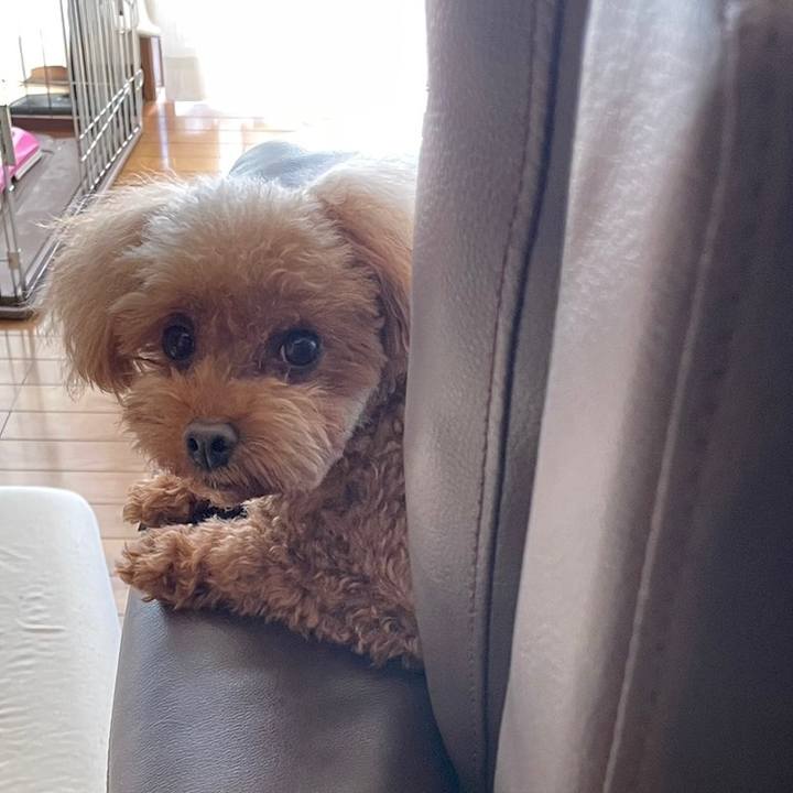 F5b53fd2 42a0 4dd3 b518 ecf7c716eec9 1683076211535