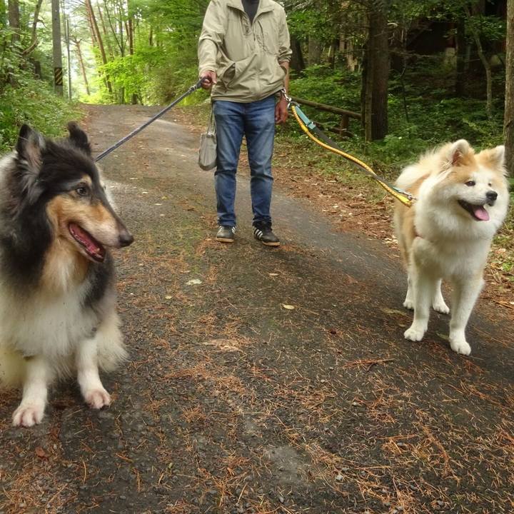 F5b559bf ef91 441f 81e8 26902e8a57cd 1600526261130