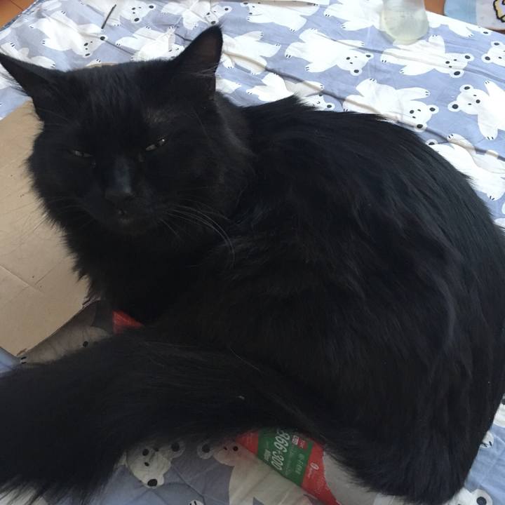 F5b577f2 664e 4586 b03b f01e178f2f71 1516883650034