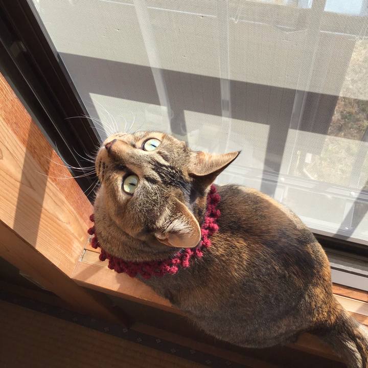 F5b58089 5673 41a1 b698 c6e65392be0d 1614558289946