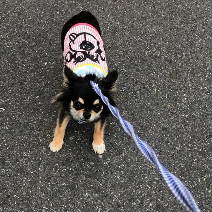 F5b58548 0523 4bb6 8886 543cf09cc0cb 1556280933364