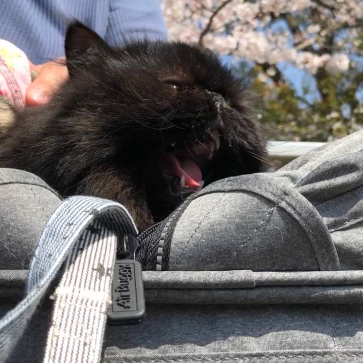 F5b5c69e 5d70 4d6d 97a3 1e66f16b0d5e 1554531378029