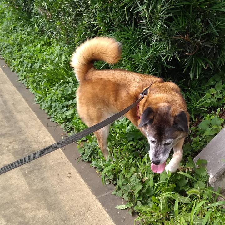 F5b5d3f9 db69 4c34 af78 268a67b7cf83 1564014046994