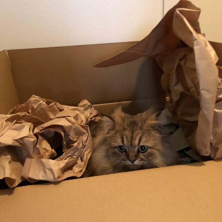 F5b63ea6 bdd0 4d1b adc7 9cb58d74cff2 1517538281699