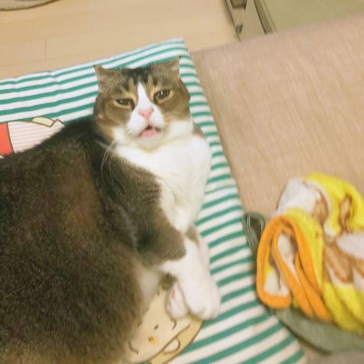 F5b64caf a379 4f57 b8d0 8891cf16e499 1763565832754