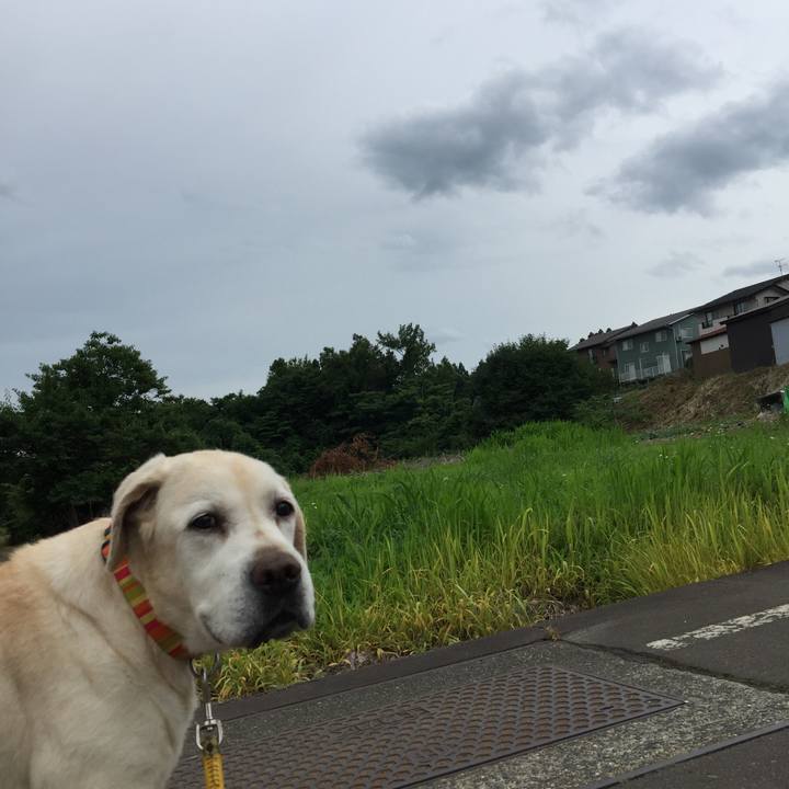 F5b67632 ce9a 466b 973e 6ff673627886 1530093514282