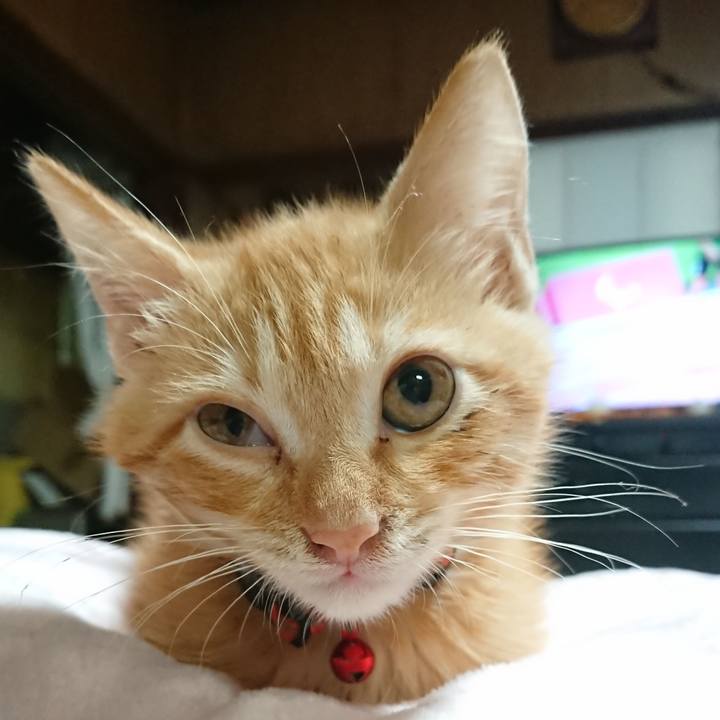 F5b6a55f dfb8 48e0 a620 5b8ff51ce0c1 1630495273533