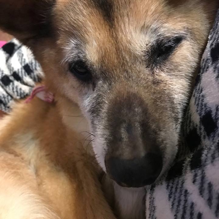 F5b6adfa 3176 4a36 ad62 9fb87bb514df 1554390390067