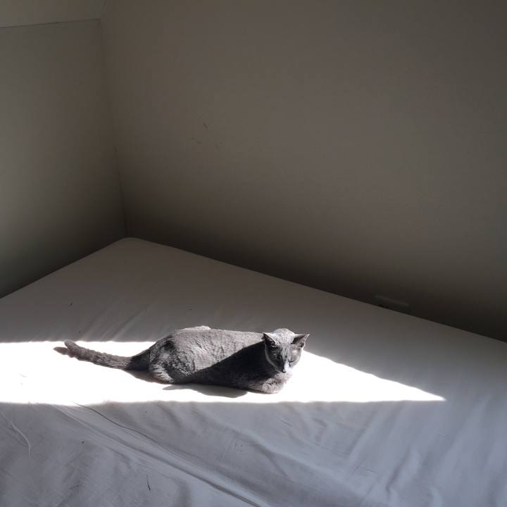 F5b6ee34 3f47 4b49 af4f 1670b3811443 1543664645773