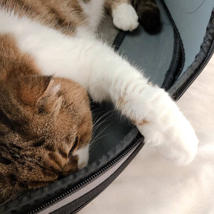 F5b6f770 f5fe 4e42 a224 d29be6b0ecda 1593923723997