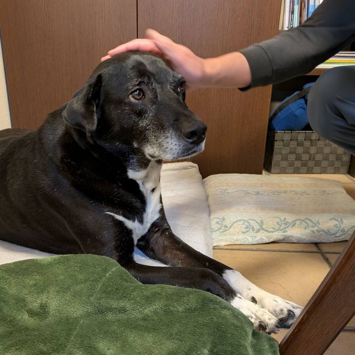 F5b709d7 a2c1 4a3e ada9 17367df2bbef 1746173772941