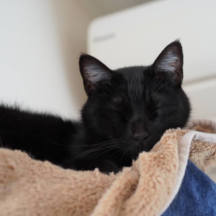 F5b72cc9 5236 4d09 bbab bf0f2772a097 1619483661990