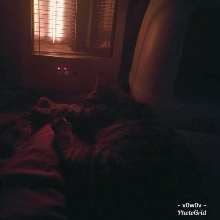 F5b76d21 f53d 43c9 8824 7225bd0815b7 1545065819931