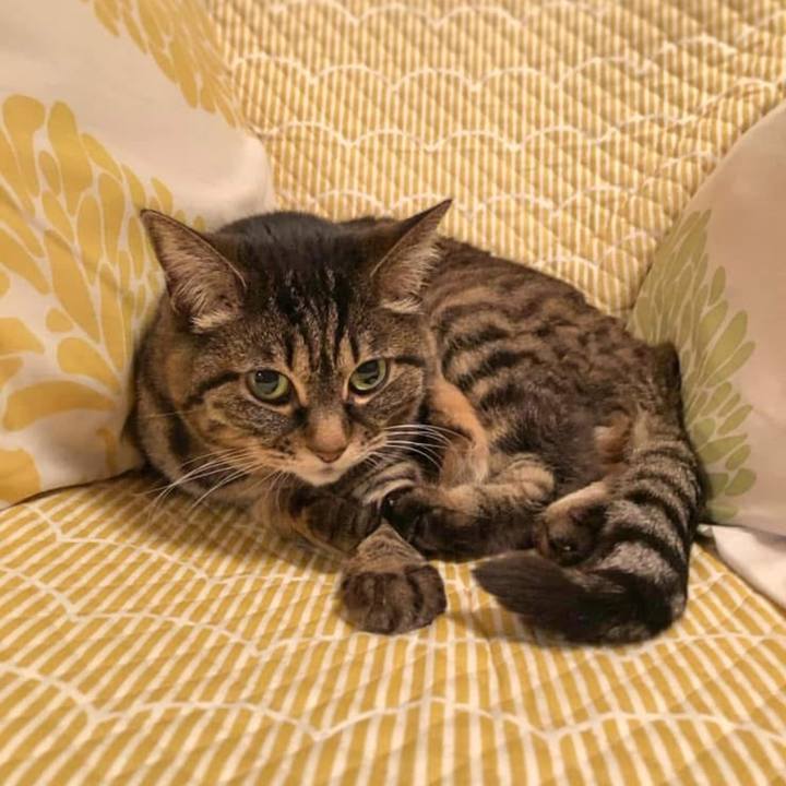 F5b76eb8 0728 403f 94eb 31137b787964 1776865549756