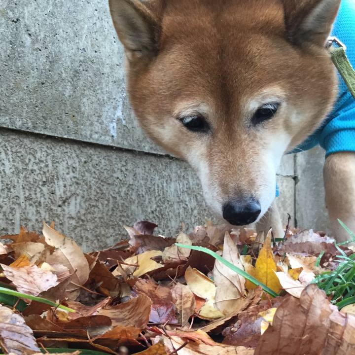 F5b7958e 157c 4a8e 82b3 aaaa595f2e7b 1576543862793