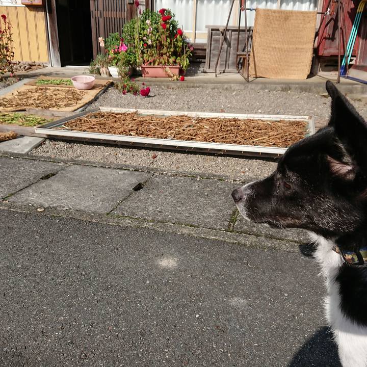 F5b7a1c6 5c09 4906 8e1d 3460aaee07e2 1508299750503