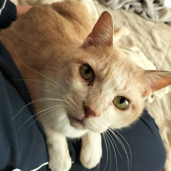 F5b7a8e0 38ea 418b 85ca 9e5fc78cd452 1640993649868