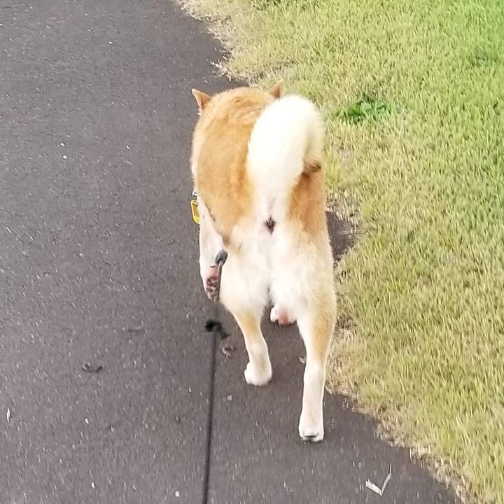 F5b7b93b 7203 48f7 a202 f52f40a1e2d2 1626859834999