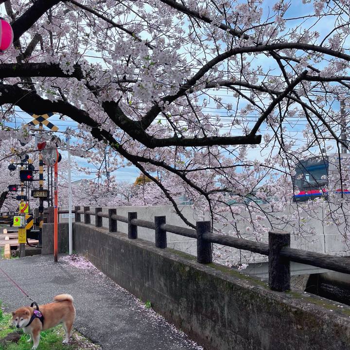 F5b7c6cd b5d8 4716 9205 0fb3618b11e9 1772798621650