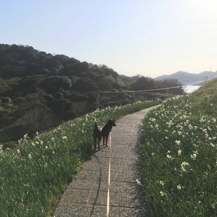 F5b7d26a 91c8 4568 b5a3 e1ca82bfe155 1514898024663