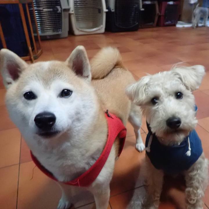 F5b7d8bc 9682 409c 89fe 2795918d14ed 1732480582700