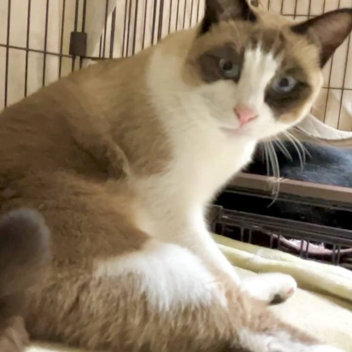 F5b7f04c 2ee2 4618 802d 54c1edb55080 1732008477359