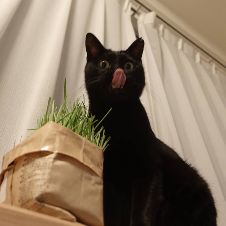 F5b802df d6bf 4554 8440 e36f112356eb 1577805974644