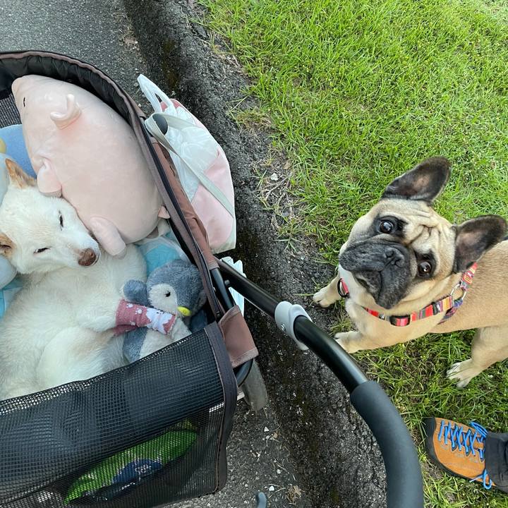 F5b85027 fb6e 4b5c 9691 b75c618cead7 1684863951482