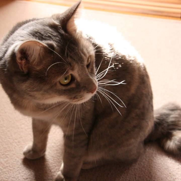 F5b85270 a6c0 4962 a9b6 5aca97547cc6 1535844212712