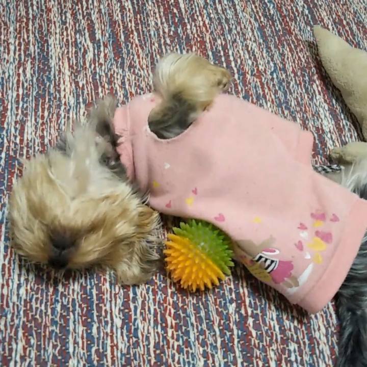 F5b87549 43f8 43db 88b4 689756c6c728 1589674510636