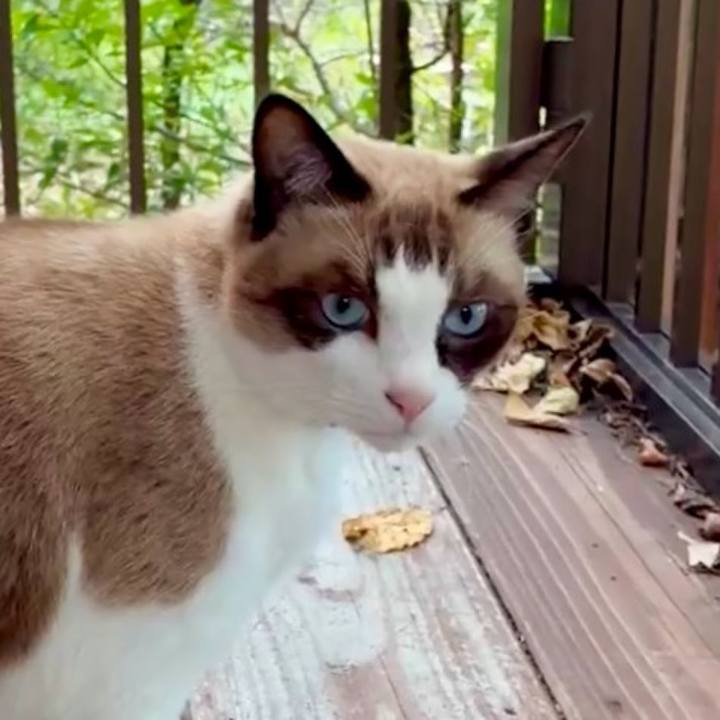 F5b90123 ea38 49de 8202 2459ac67ad9a 1761617339604