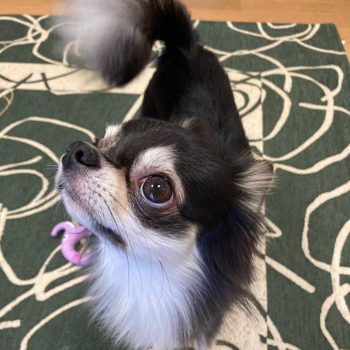 F5b90fc0 27a6 4b22 ba37 4c8a1c878a02 1636804464116