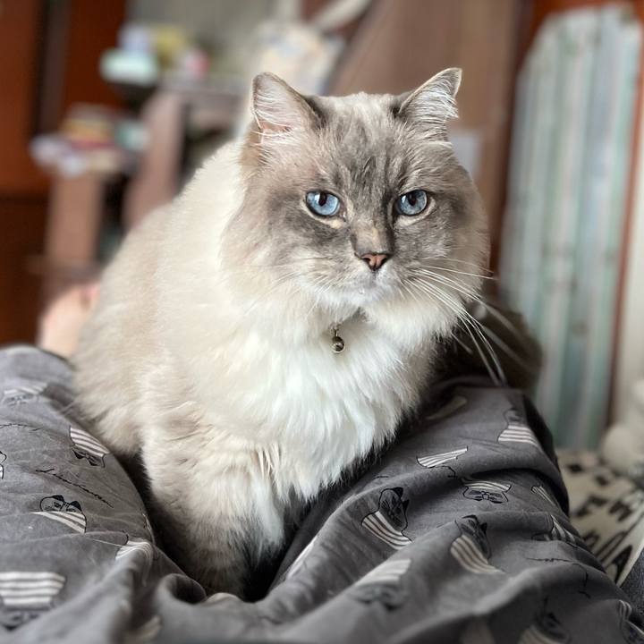 F5b9239e f29a 4481 803e 8b6bb604136a 1692613971885