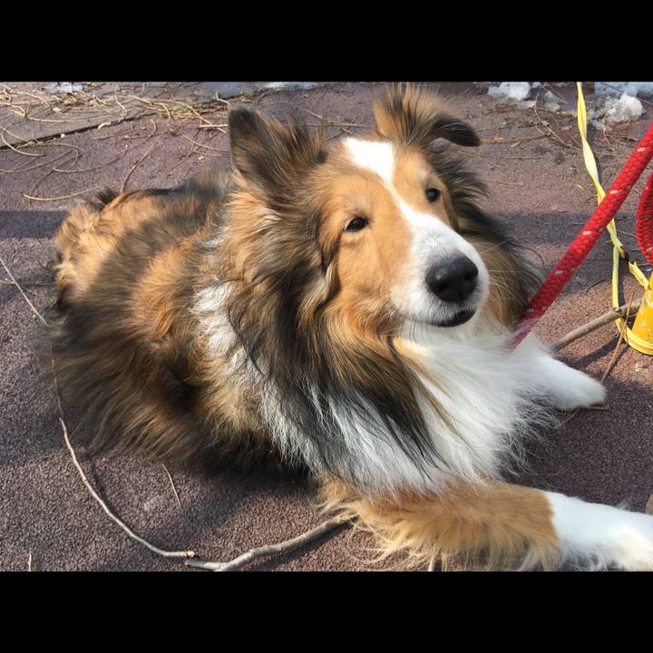 F5b934b4 f57a 4d78 9577 e518de155da3 1741689980545