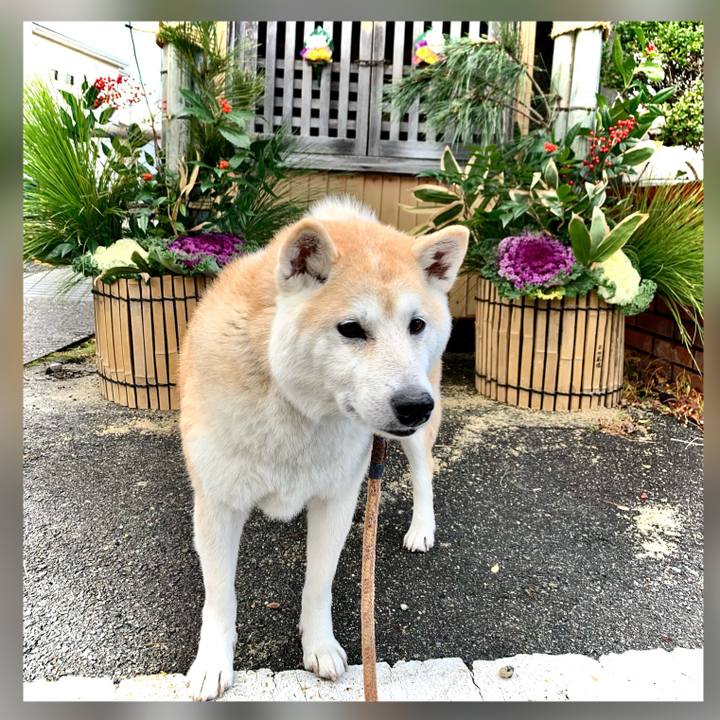 F5b99269 199a 4f3c bdad b45a1e71b1e0 1609677394053