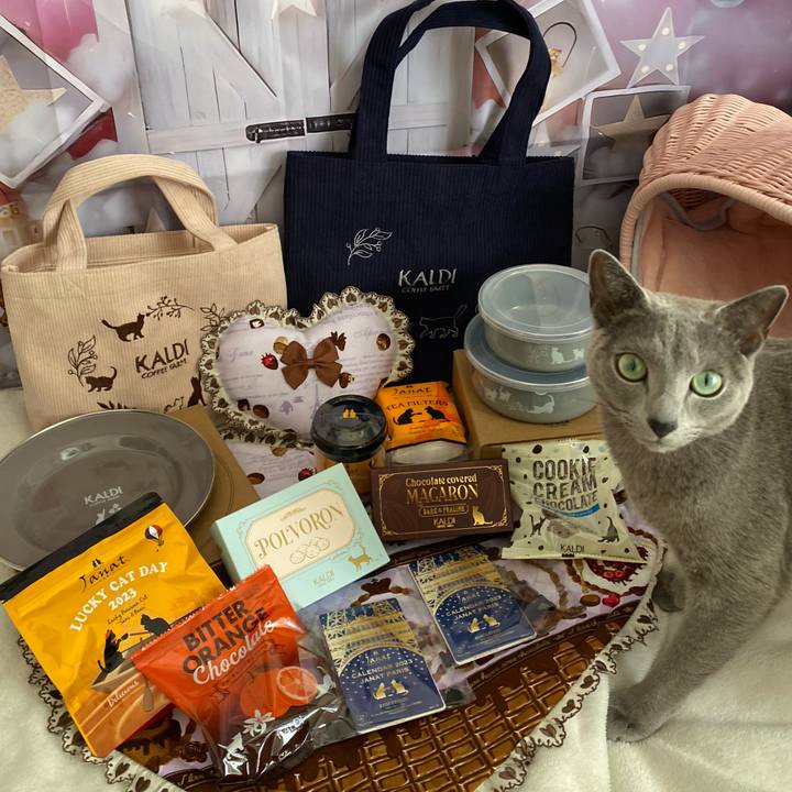 F5b9a308 99d0 4649 b926 6ac68a74ec52 1677391362677