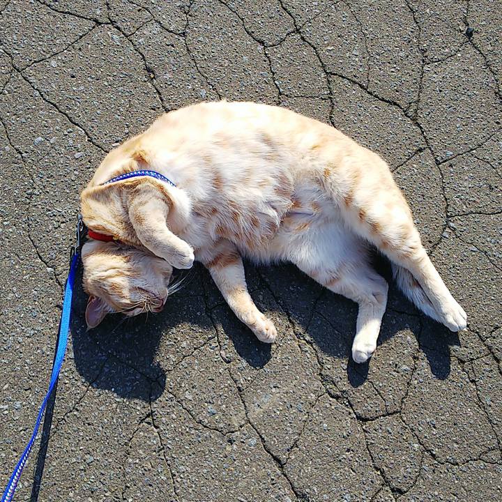 F5b9bdee 508c 48c0 8f6b 70f0d7d8c885 1591314559305