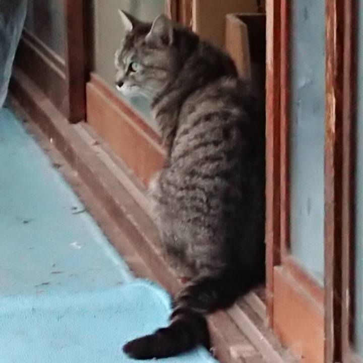 F5b9da6c 69e3 4f22 82c6 69e82b0b4da2 1562924299391