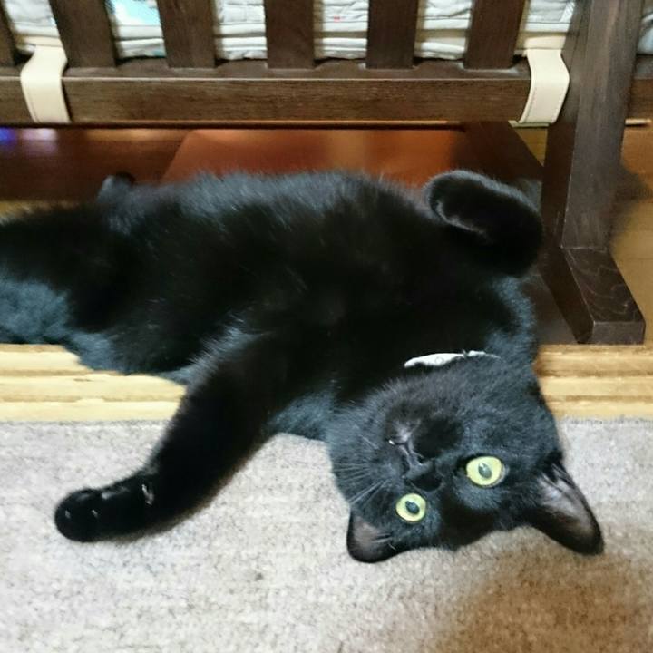 F5b9fb28 8d58 4758 b342 cc2aa2b4f34a 1529937679684