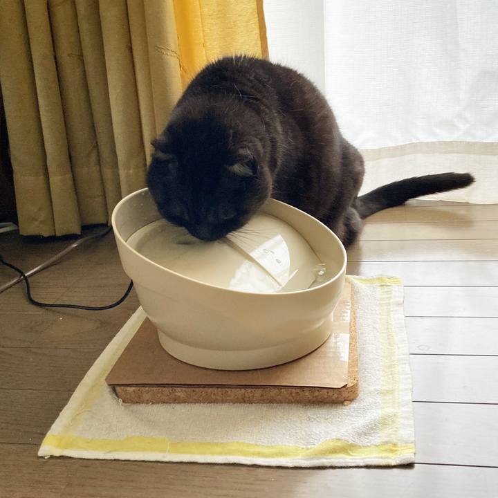 F5b9fbde 6ed8 49bd 9bd3 29cfd1eed02c 1610673596248