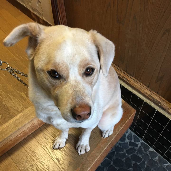 F5ba3fd3 4aff 4123 b570 9e477ec4abc0 1516074441812