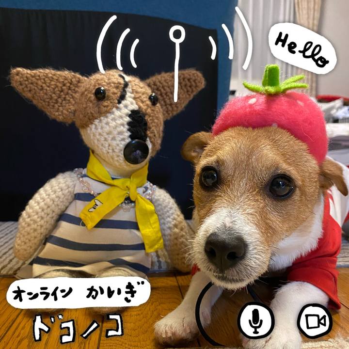 F5ba88a0 09eb 44c5 b56a 52fbc6fe8ea2 1591012425896