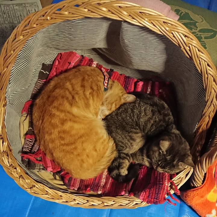 F5baa0b3 e341 4b86 bc31 80e763861478 1558212754343