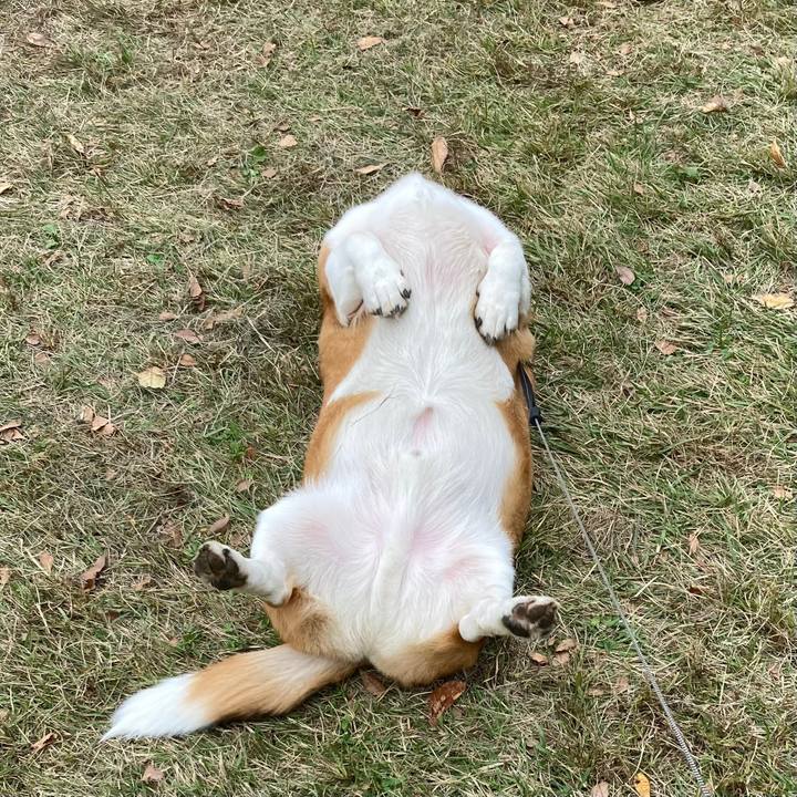 F5bac1de 72fc 480b a4cc 1837a1ad5849 1666440578916