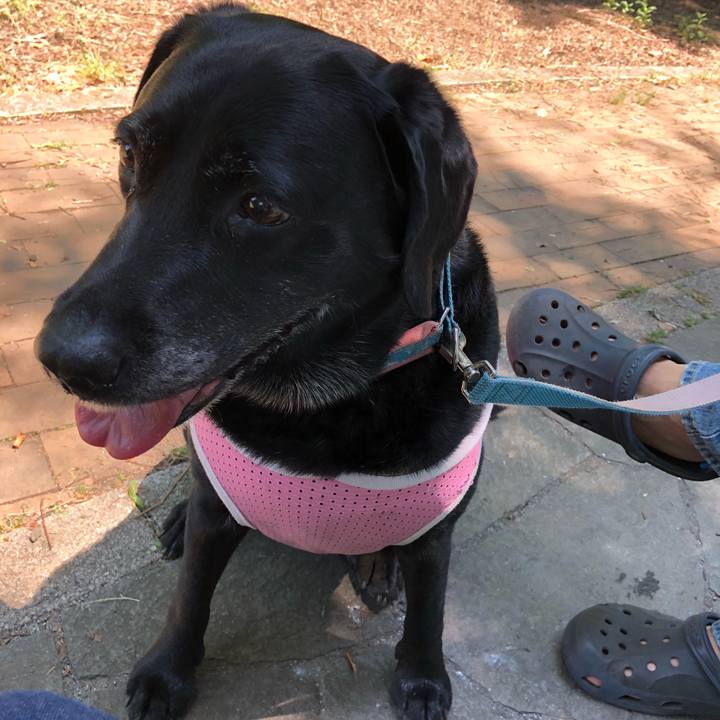 F5bae3c1 a3b4 43f2 9d3b 0d07c53947fe 1527998877639