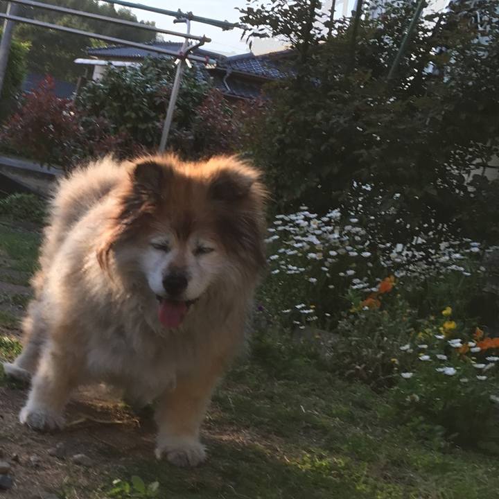 F5baebae 086f 4fbb bbb4 a85cd910fd52 1576994476897